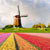 Tips for Driving in the Netherlands